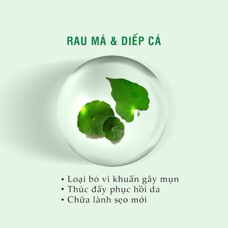 Công dụng rau má cho da
