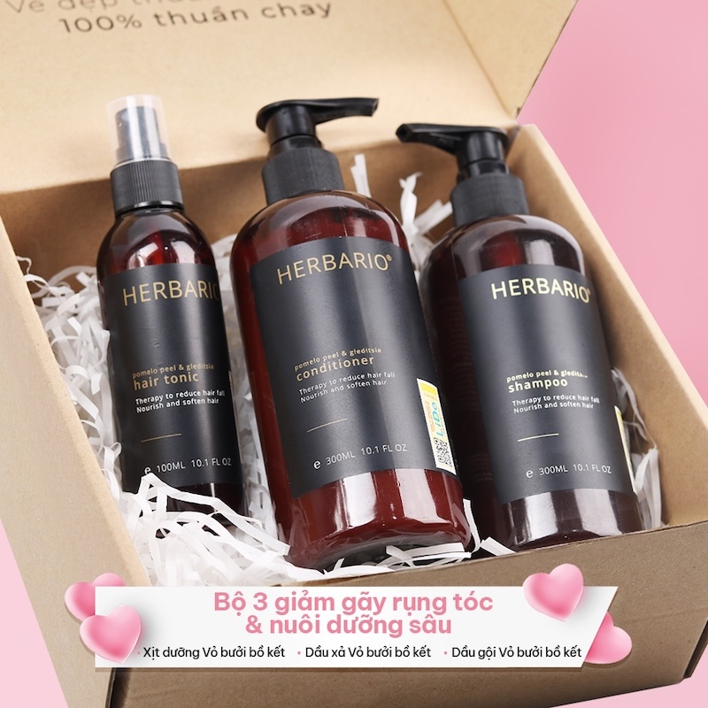 goi-xa-xit vo buoi bo ket herbario