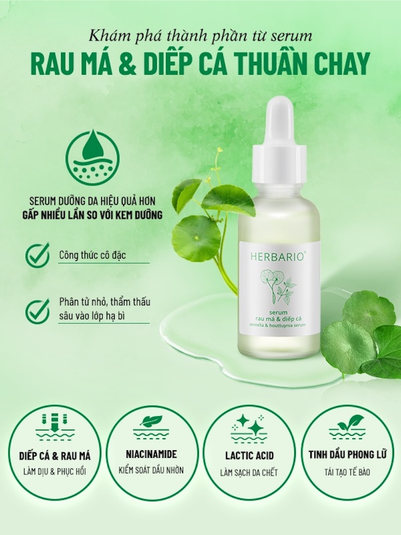 thanh phan serum rau ma diep ca herbario