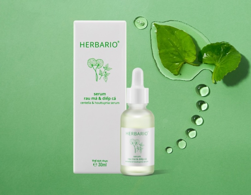 serum rau ma diep ca herbario