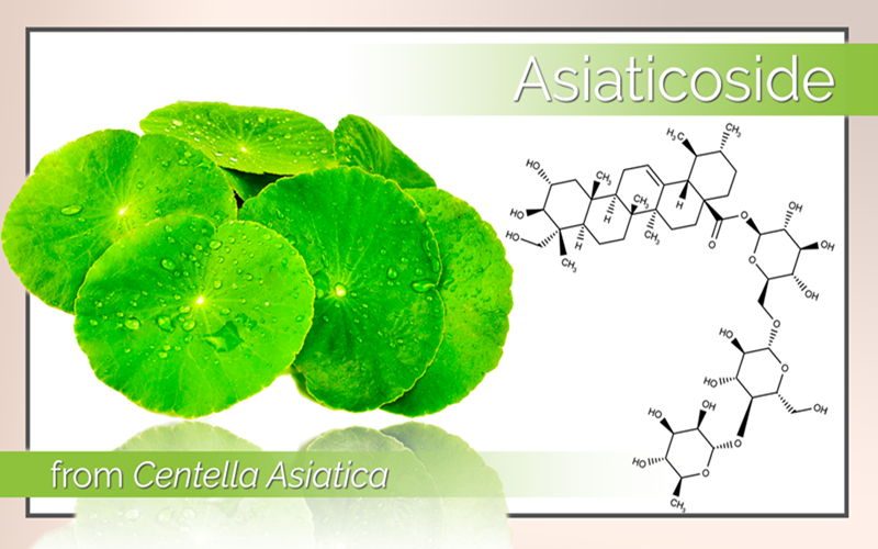Asiaticoside trong rau má là gì Asiaticoside trong rau ma la gi