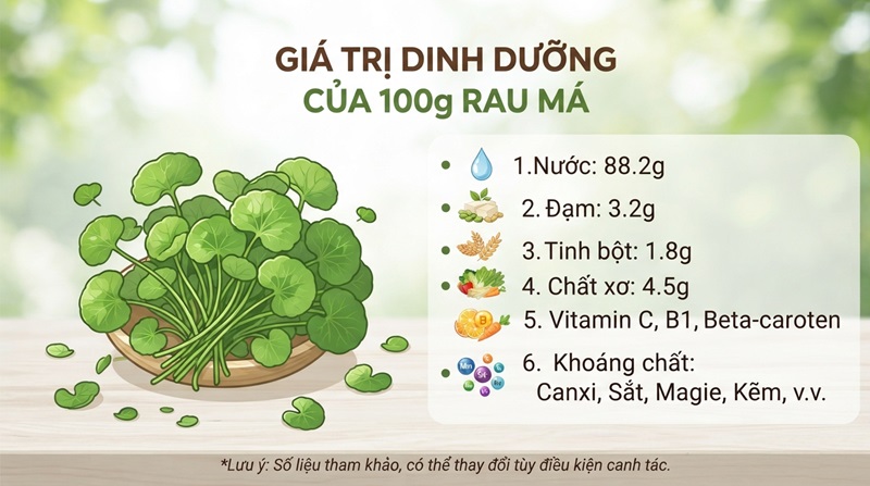 Nghiên cứu giá trị dinh dưỡng của rau má nghien cuu gia tri dinh duong cua rau ma