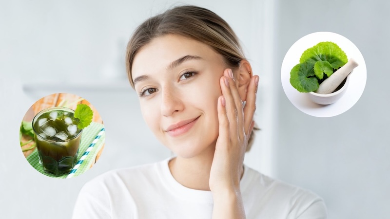 Nghiên cứu giá trị dinh dưỡng của rau má nghien cuu gia tri dinh duong cua rau ma