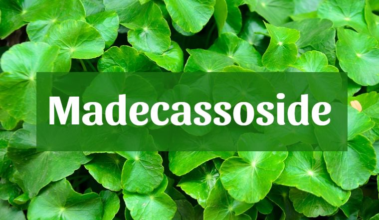 Madecassoside là gì Madecassoside la gi
