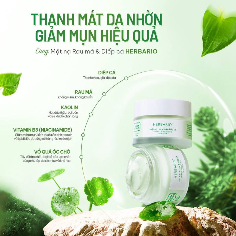 mat na rau ma diep ca herbario