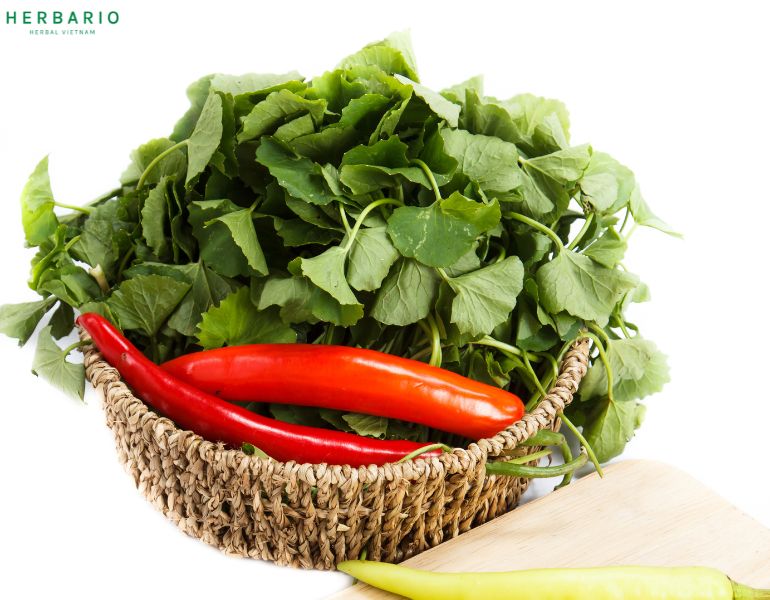 Các món ăn từ rau má ngon Các món ăn từ rau má ngon