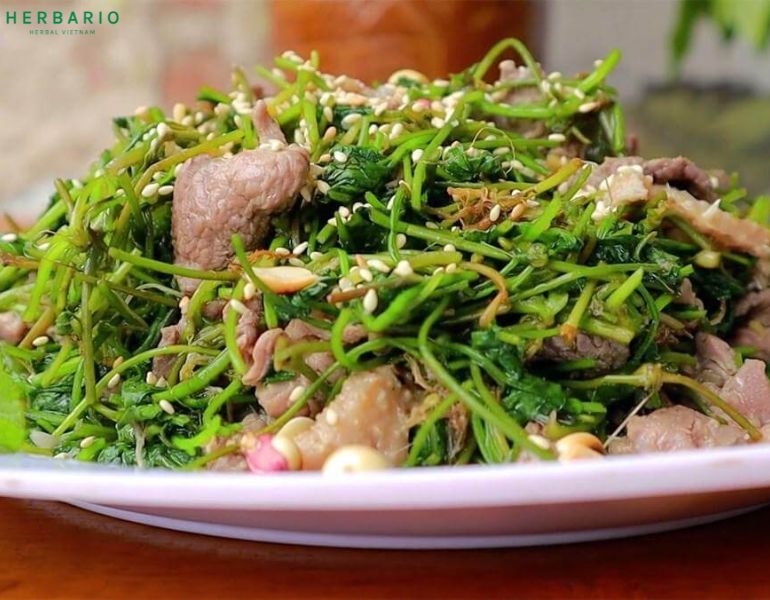 Sau sinh bao lâu thì được ăn rau má Sau sinh bao lâu thì được ăn rau má