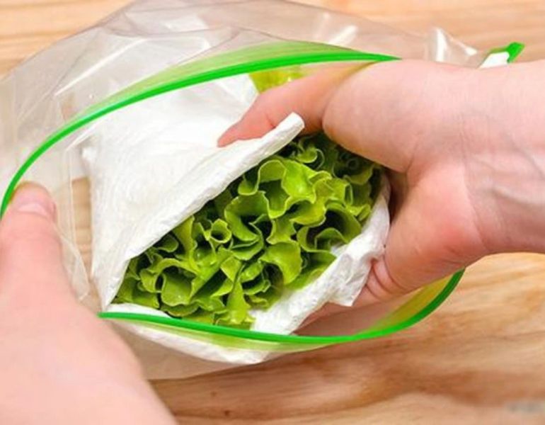 Bảo quản rau má đúng cách Bảo quản rau má đúng cách
