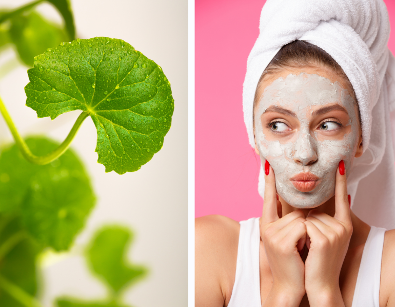 Đắp mặt nạ làm đẹp từ rau má Đắp mặt nạ làm đẹp từ rau má
