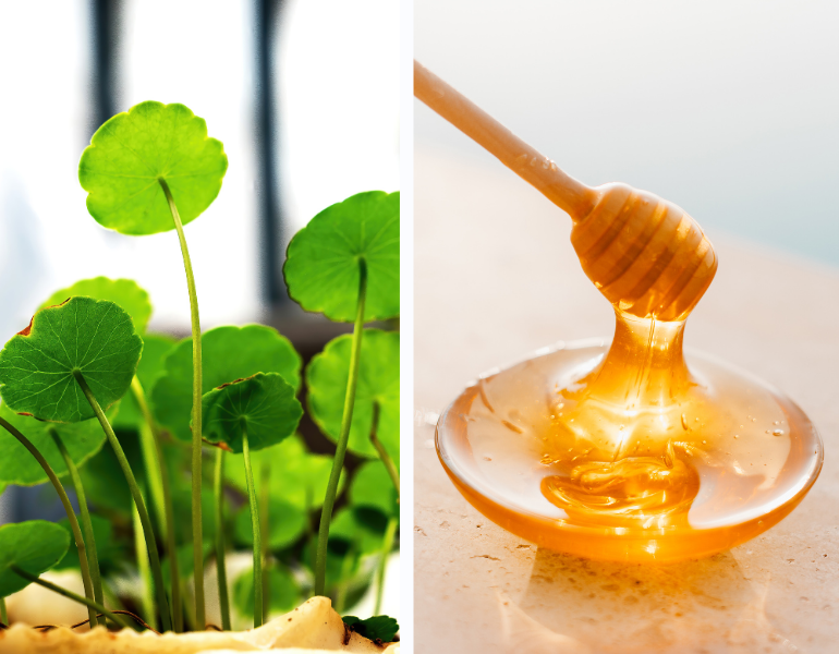 Mặt nạ rau má mật ong Mặt nạ rau má mật ong