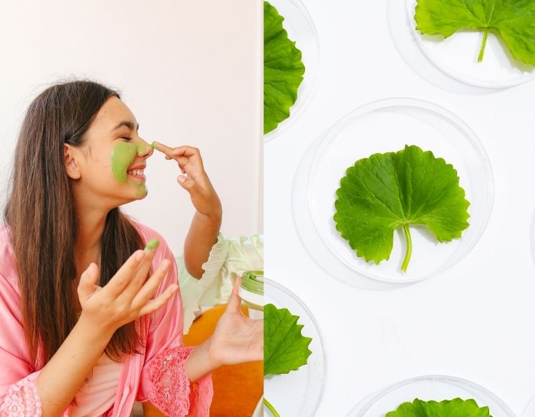 Tác dụng của mặt nạ rau má Tác dụng của mặt nạ rau má
