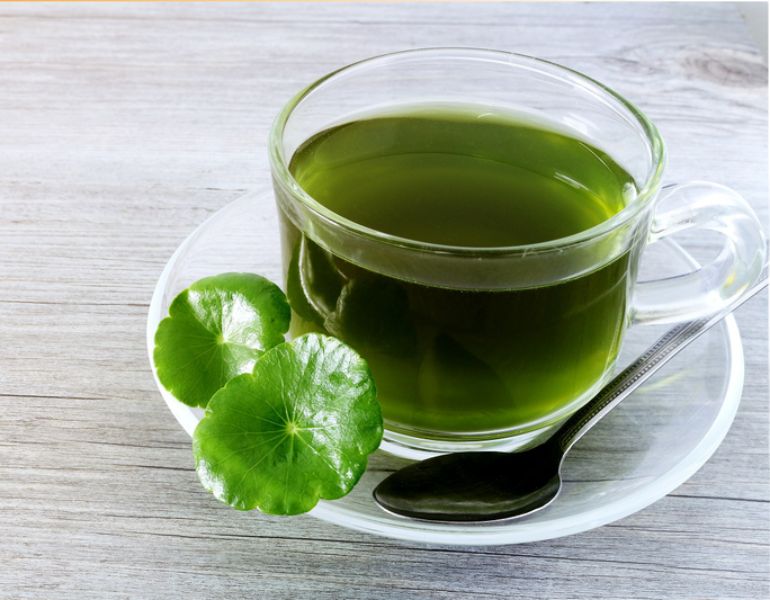 Thời điểm nên uống trà rau má thích hợp Thời điểm nên uống trà rau má thích hợp