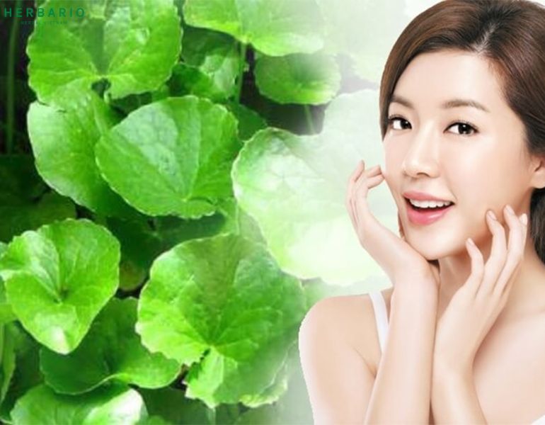Tác dụng của rau má đối với làn da Tác dụng của rau má đối với làn da