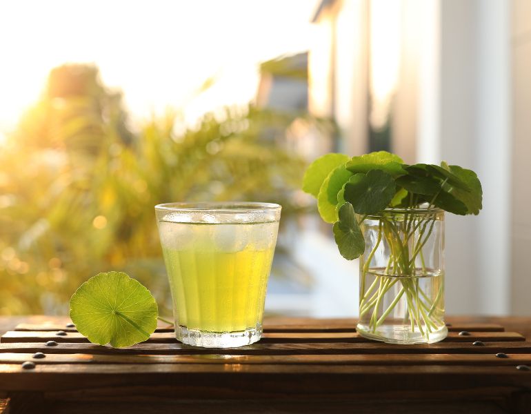 Công dụng của trà rau má Công dụng của trà rau má
