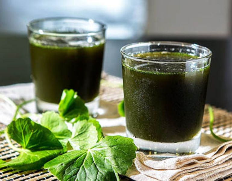 Uống rau má mỗi ngày có tốt không? Uống rau má mỗi ngày có tốt không?