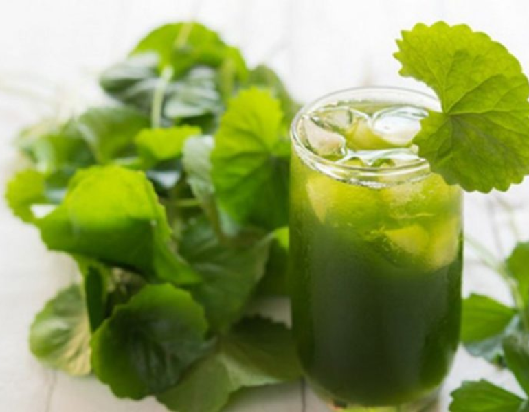 Rau má giải độc gan Rau má giải độc gan