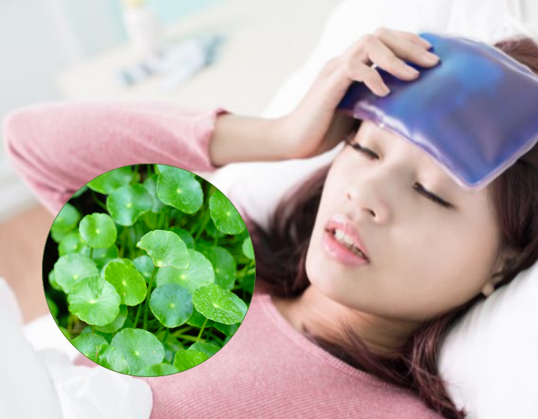 Hạ sốt bằng rau má Hạ sốt bằng rau má
