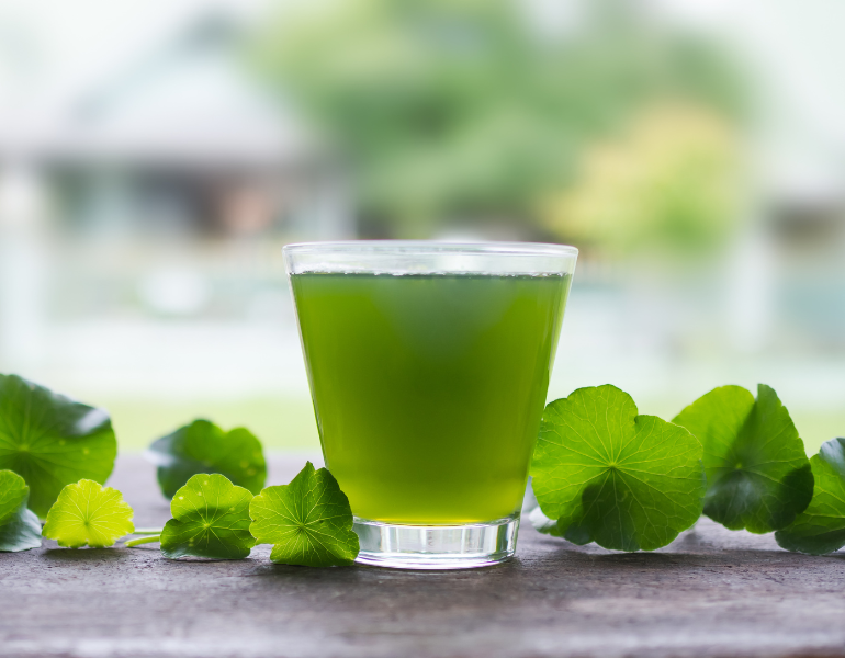 Lưu ý khi dùng rau má để giải nhiệt Lưu ý khi dùng rau má để giải nhiệt