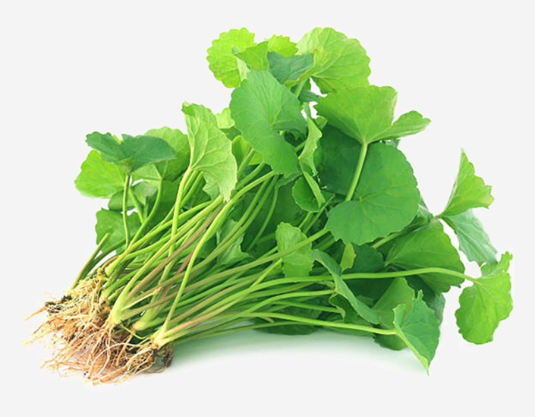 Có nên cho bé ăn dặm rau má không? Có nên cho bé ăn dặm rau má không?