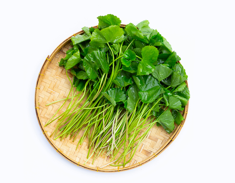 Rau má sữa bao nhiêu calo? Rau má sữa bao nhiêu calo?