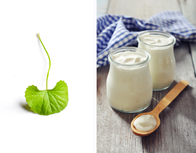 Mặt nạ rau má trị mụn kết hợp sữa chua Mặt nạ rau má trị mụn kết hợp sữa chua