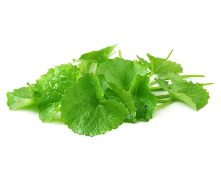 Rau má sữa có giảm cân không? Rau má sữa có giảm cân không?