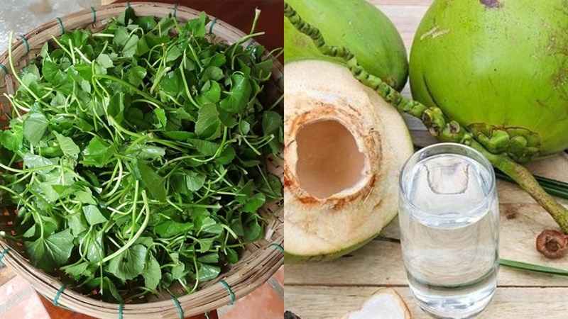 Cách làm rau má nước dừa cach lam rau ma nuoc dua
