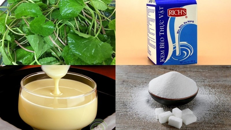 Cách làm rau má sữa trân châu cach lam rau ma sua tran chau