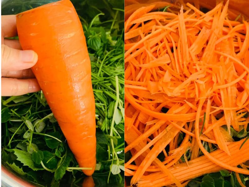 Cách làm salad rau má cach lam salad rau ma