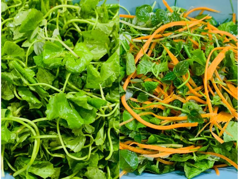 Cách làm salad rau má cach lam salad rau ma