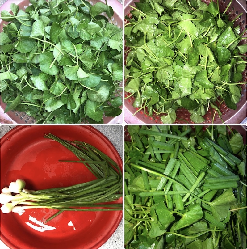 Cách nấu canh rau má cá thác lác cach nau canh rau ma ca thac lac