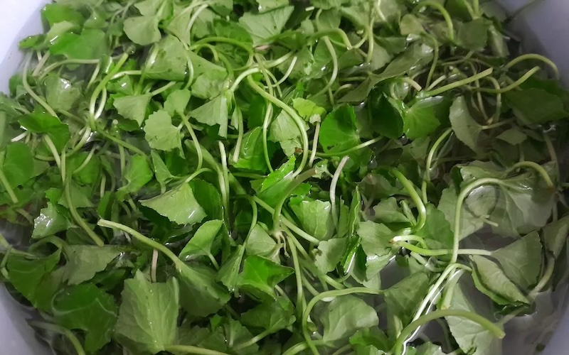 Cách nấu canh rau má chả cá thịt xay cach nau canh rau ma cha ca thit xay