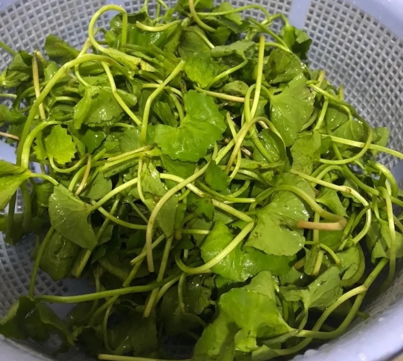 cách nấu canh rau má nấu nghêu cach nau canh rau ma nau ngheu