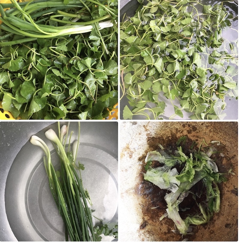 Cách nấu canh rau má nấu tôm khô