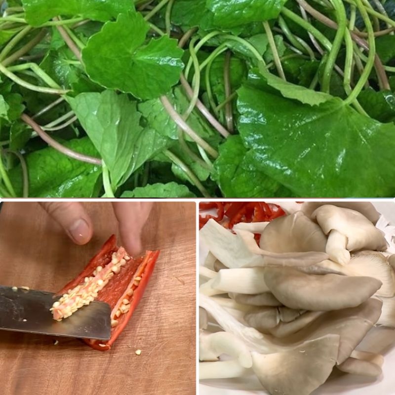 Gỏi rau má chay nấm bào ngư goi rau ma chay nam bao ngu