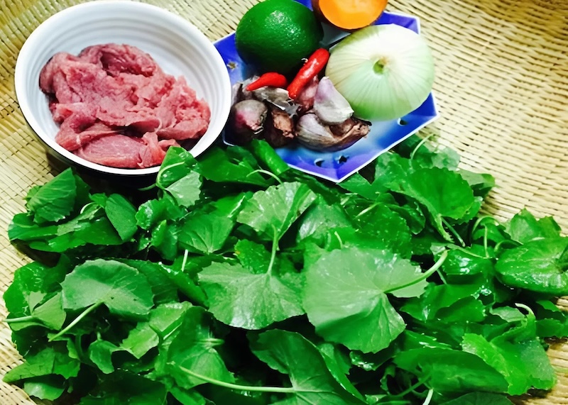 Cách làm gỏi rau má trộn thịt bò cach lam goi rau ma tron thit bo