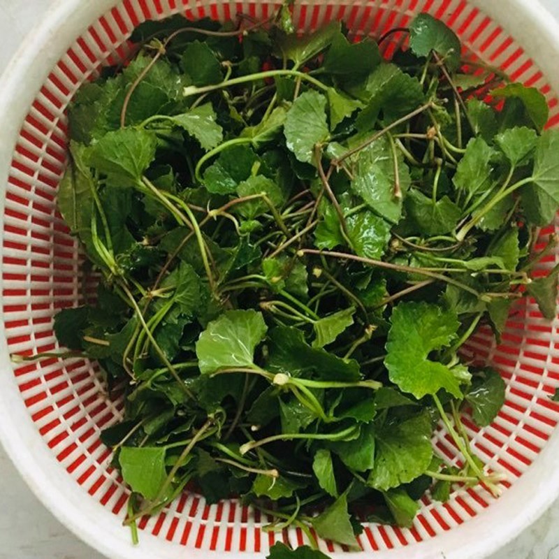 Cách làm trà sữa rau má cach lam tra sua rau ma