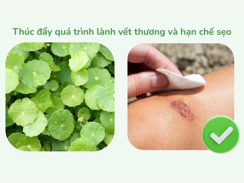 nguoi bi tieu duong co an rau ma duoc khong