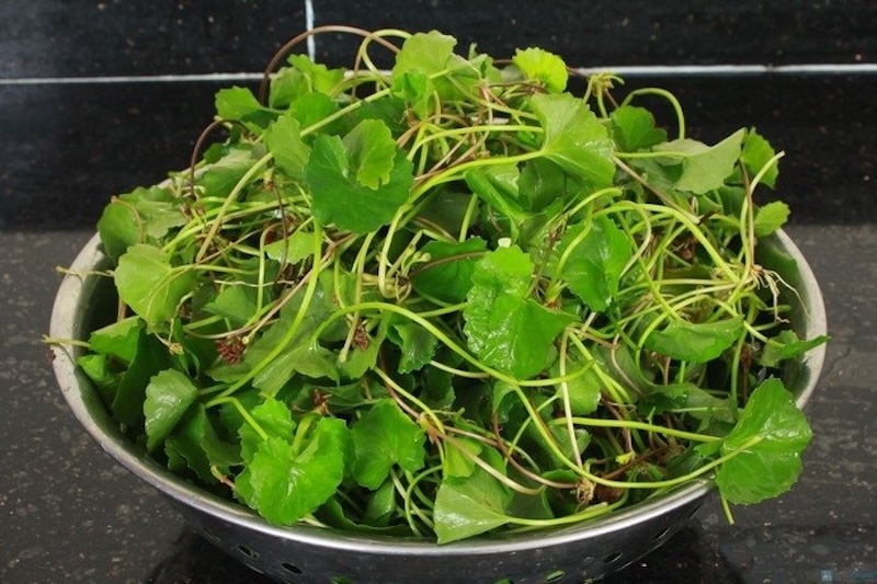 rau ma chua nhung vitamin gi
