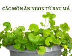Bỏ túi ngay các món ăn từ rau má Bỏ túi ngay các món ăn từ rau má