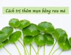 Cách trị thâm mụn bằng rau má đơn giản mà bạn không thể bỏ qua Cách trị thâm mụn bằng rau má đơn giản mà bạn không thể bỏ qua