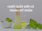 Chiết xuất diếp cá trong mỹ phẩm: Thành phần thiên nhiên hỗ trợ chăm sóc da mụn hiệu quả