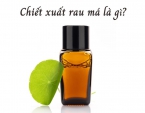 Chiết xuất rau má là gì? Công dụng của chiết xuất rau má Chiết xuất rau má là gì? Công dụng của chiết xuất rau má