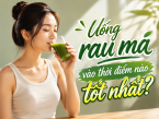 Giải đáp thắc mắc: Uống rau má vào thời điểm nào tốt nhất?