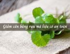 Giảm cân bằng rau má liệu có an toàn Giảm cân bằng rau má liệu có an toàn