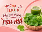 Những lưu ý khi sử dụng rau má để phát huy lợi ích và hạn chế rủi ro
