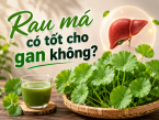 Rau má có tốt cho gan không? Công dụng, cách dùng và những lưu ý quan trọng
