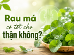 Rau má có tốt cho thận không? Lợi ích và lưu ý khi sử dụng