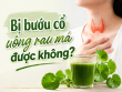 Bị bướu cổ uống rau má được không? Giải đáp từ góc nhìn dinh dưỡng và khoa học
