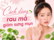 Cách dùng rau má giảm sưng mụn hiệu quả và an toàn cho làn da